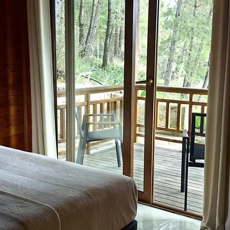Cedar With Nature Views * Olympos