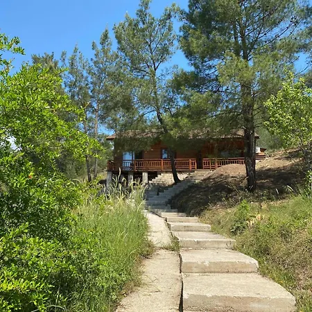 Cedar With Nature Views Olympos